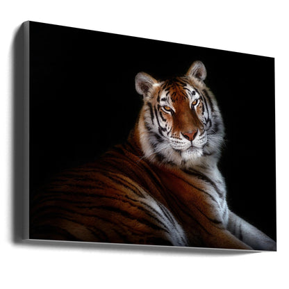 Wall art Serenity
