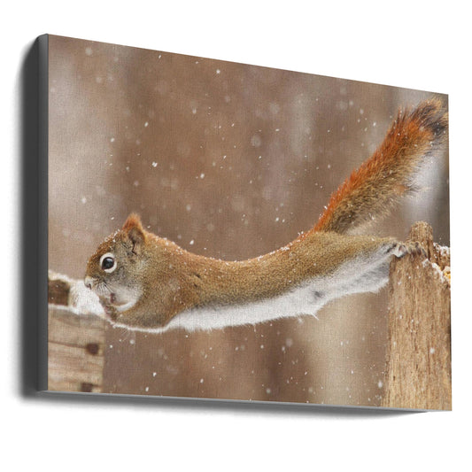 Wall art The Acrobat