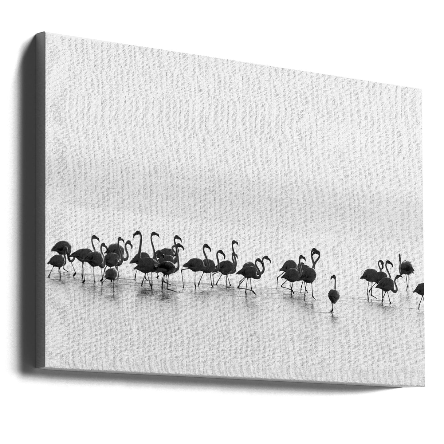 Wandbild Flamingos