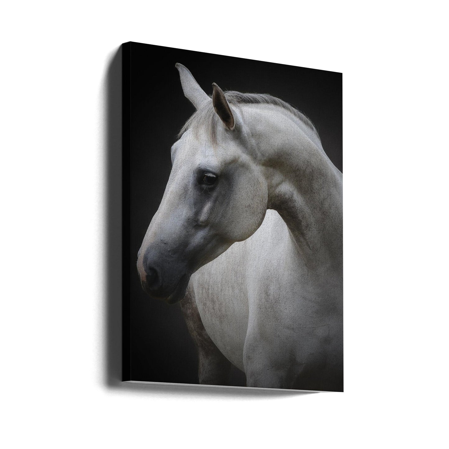 Wall art Maggie. Horse