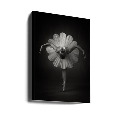 Wandbilder Blumenballett