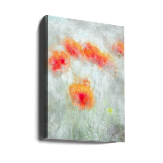 Rote Kornblumen