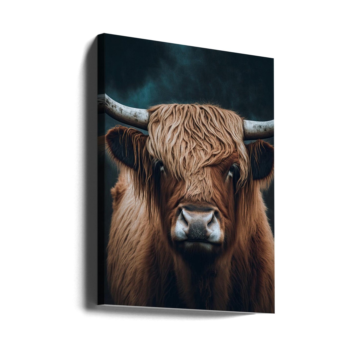 Wandbild Highland Cattle