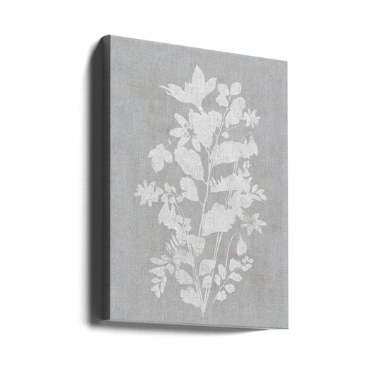 Wall art Botanical Illustration 2