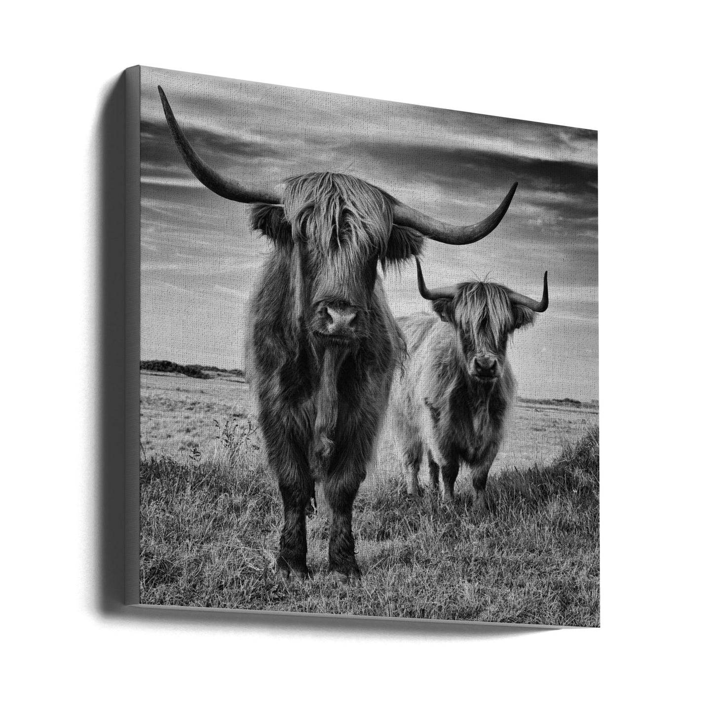 Wall Art Highlands