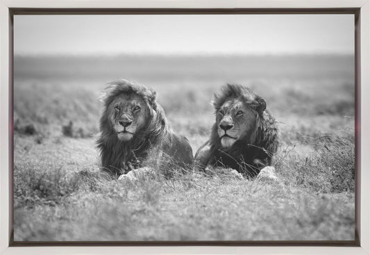 Wall art Two kings