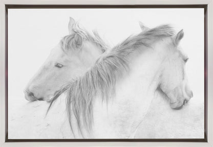 Horses