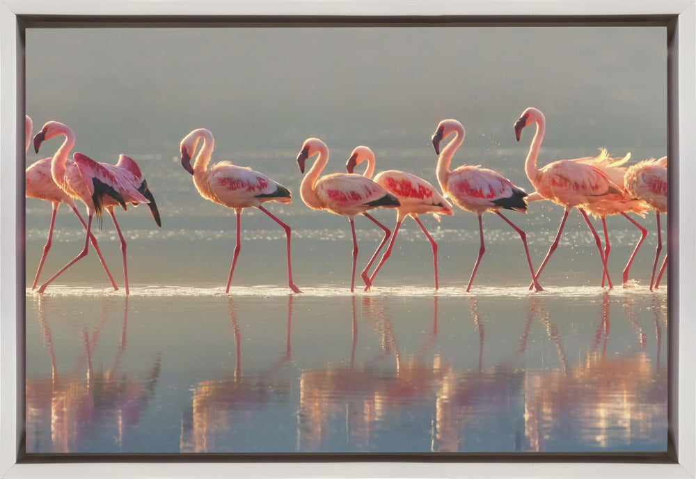 Wandbild Flamingo-Landschaft