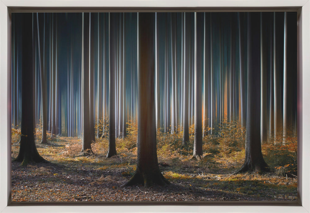 Wall art Mystic Wood