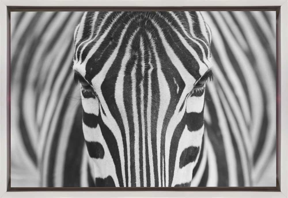 Wall art Zepra