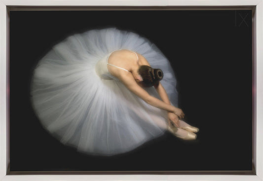 Wall art Elegance. Dance