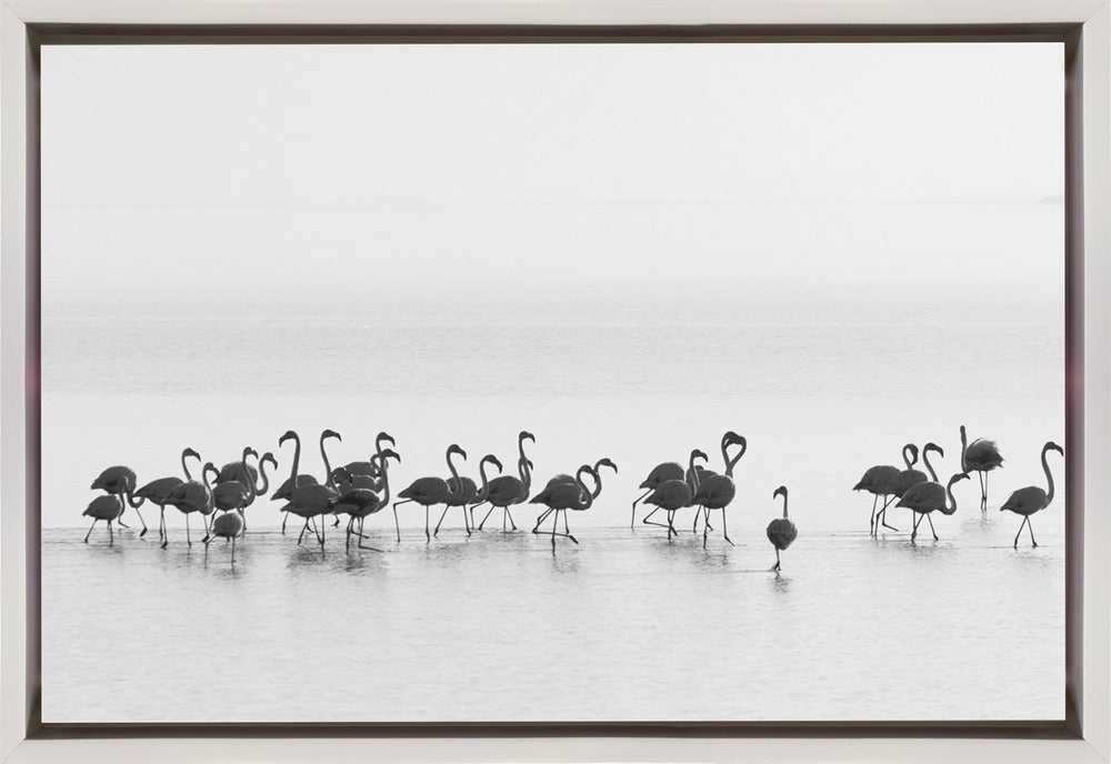 Wandbild Flamingos