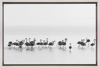Wandbild Flamingos