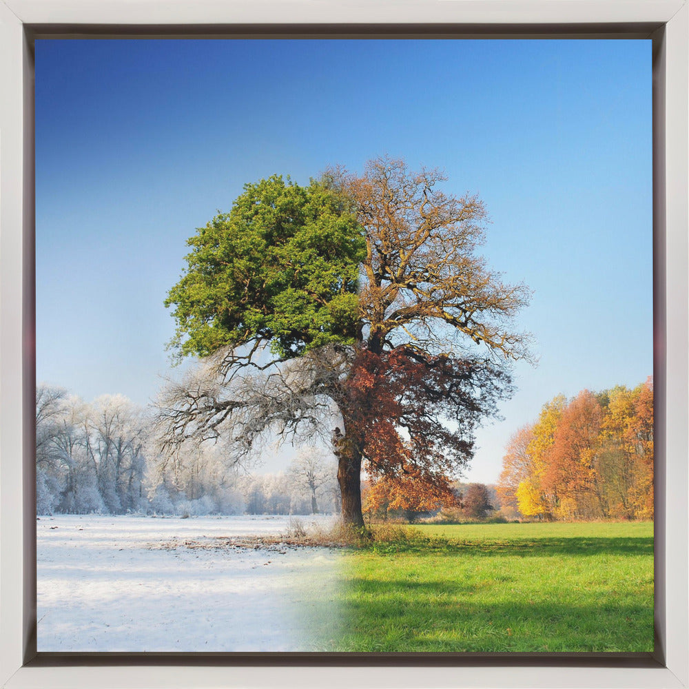 wall Art 4 seasons