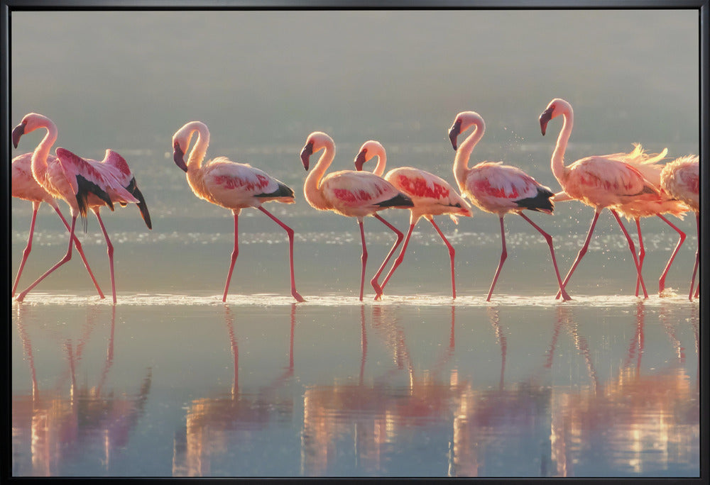 Wandbild Flamingo-Landschaft
