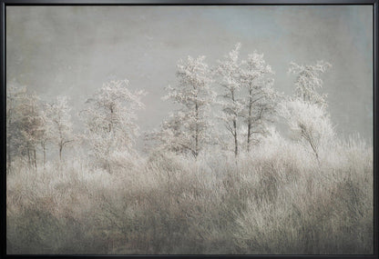 Wandkunst Kalter Morgen