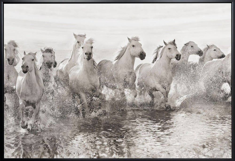 Wall art Illusion of power (13 horse power though)