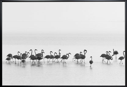 Wandbild Flamingos