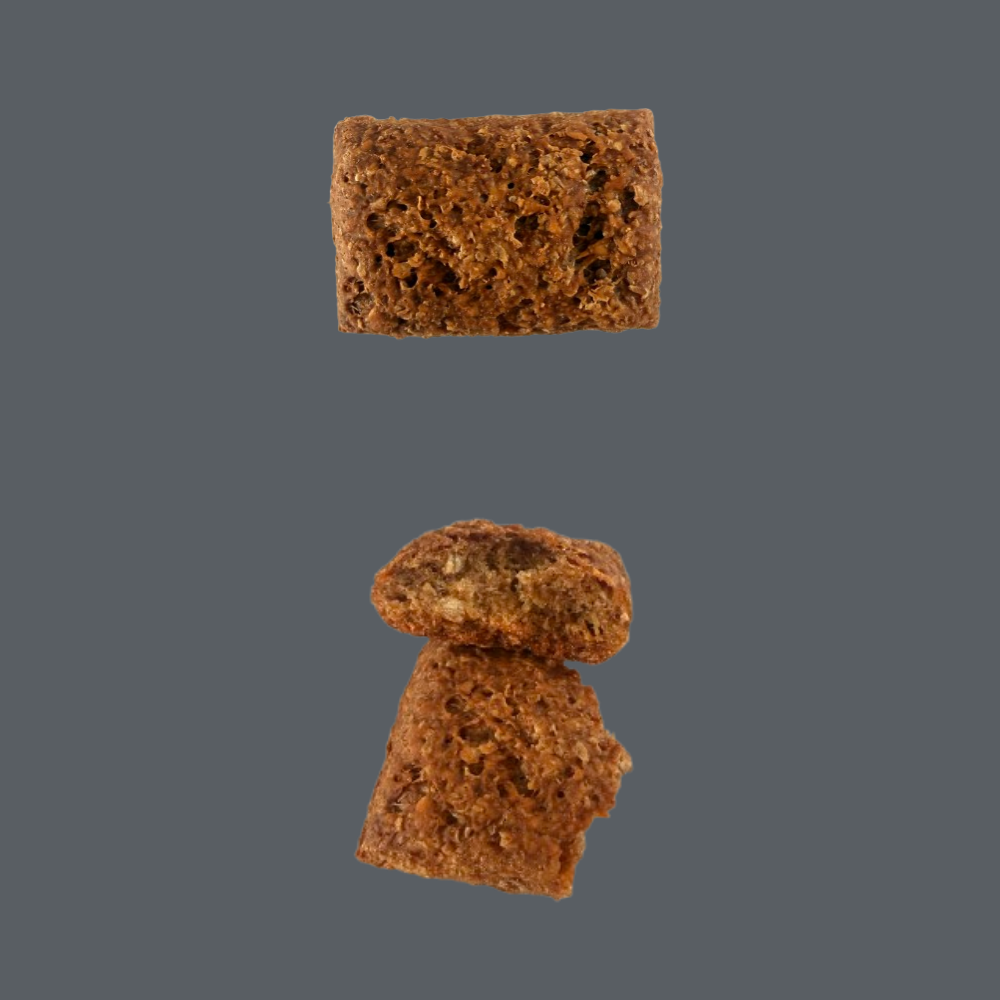Biscuit au saumon