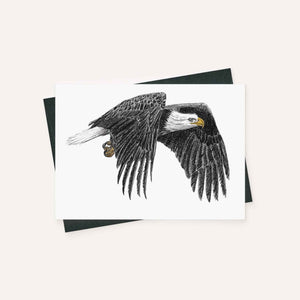Bald Eagle  - greeting card
