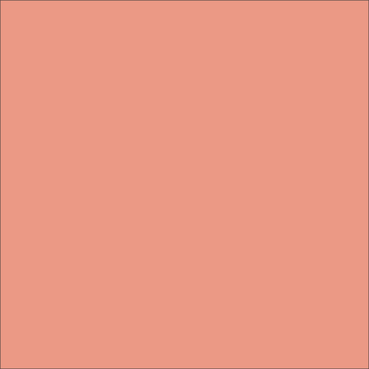 Craft Coral HTV Vinyl 12" x 4.5" sheets