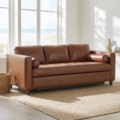 Darrow Queen Sofa Bed