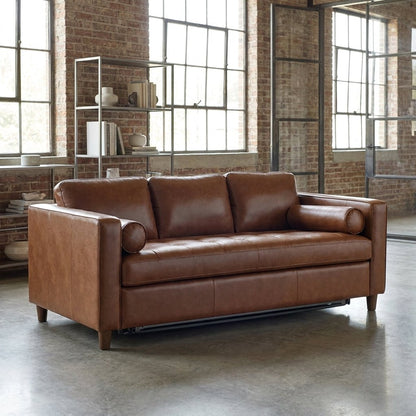 Darrow Queen Sofa Bed