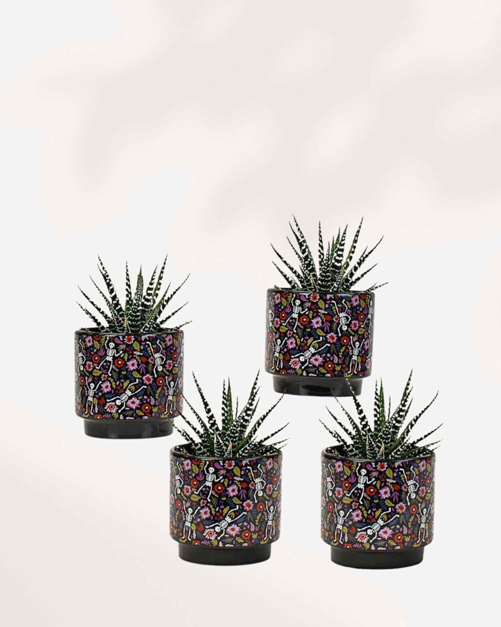 Day of the Dead Pot