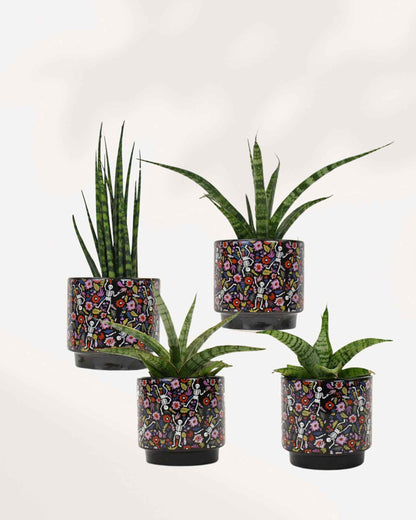 Day of the Dead Pot