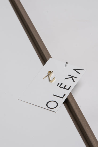 ARCHE, Oeuvre sur toile étirée
