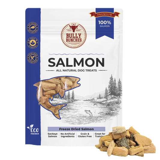 Freeze Dried Salmon 100g / 3.5oz
