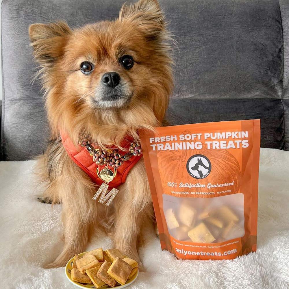 Fresh Soft Pumpkin Training Treats 170g