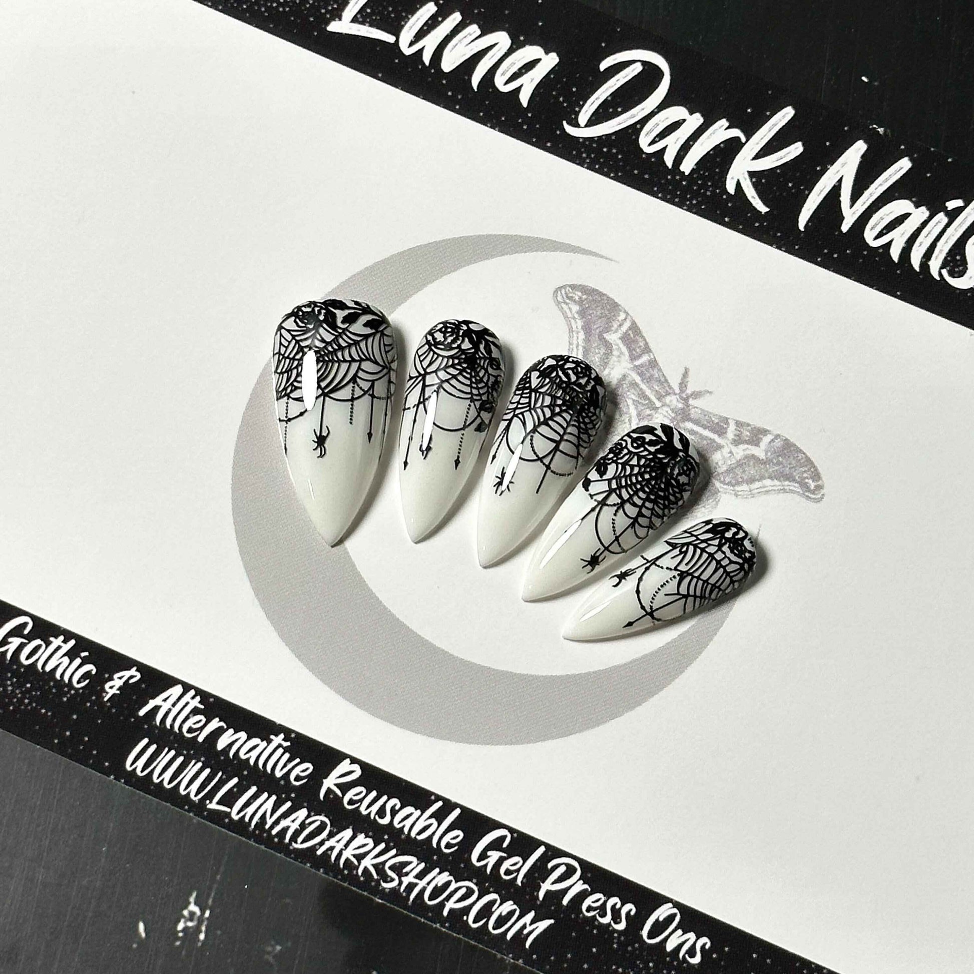 Lace-Web Chic