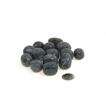 Ruby Kyanite Tumbled Stones - India