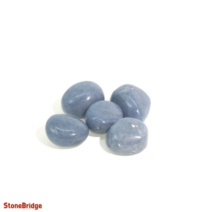 Angelite Tumbled Stones