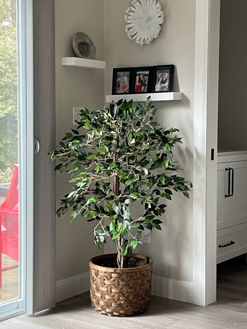 Yali Kunstfeige im Topf 122 cm