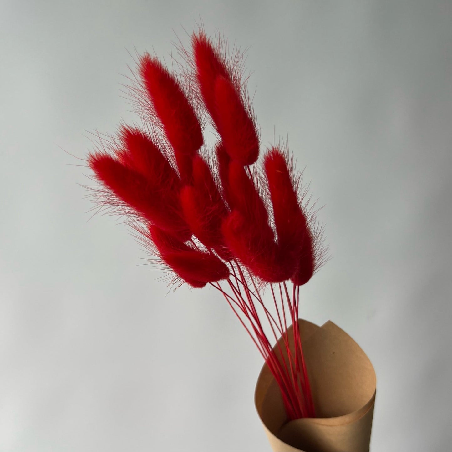 Rote Samtgräser