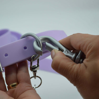 Hundespaziergang-Kombination: Halsband, Leine, Erkennungsmarken-Set