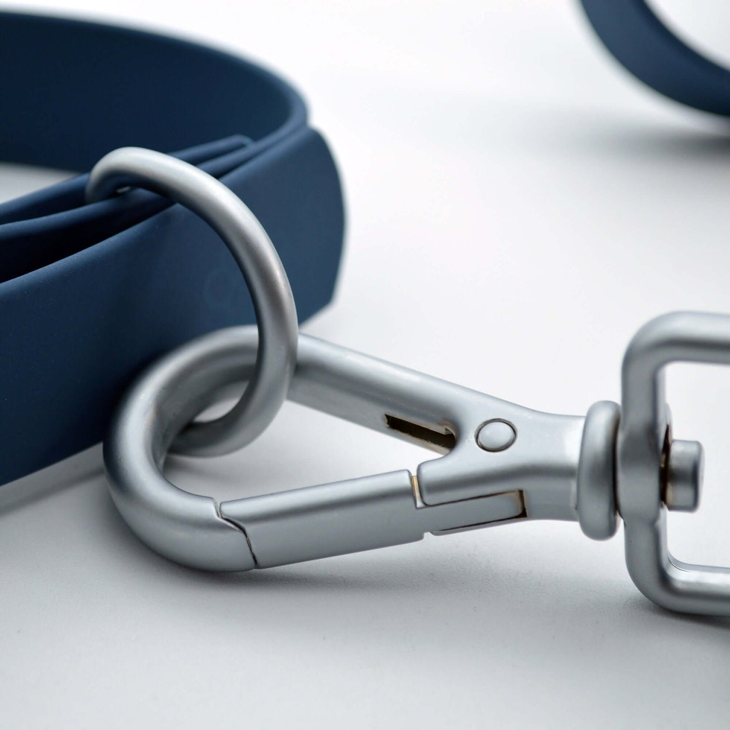 Hundespaziergang-Kombination: Halsband, Leine, Erkennungsmarken-Set