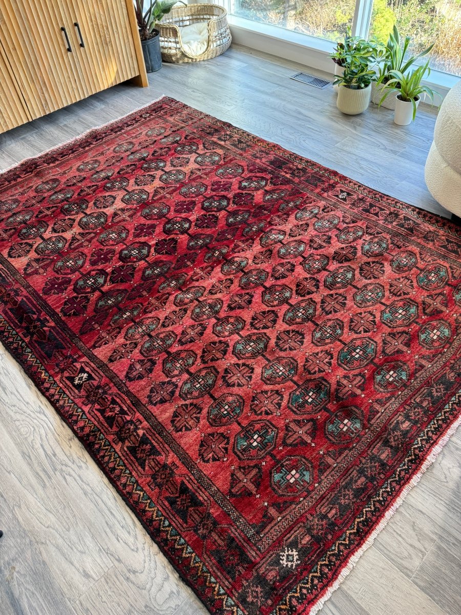 Persian Baluch Rug | 5' 7" x 8'