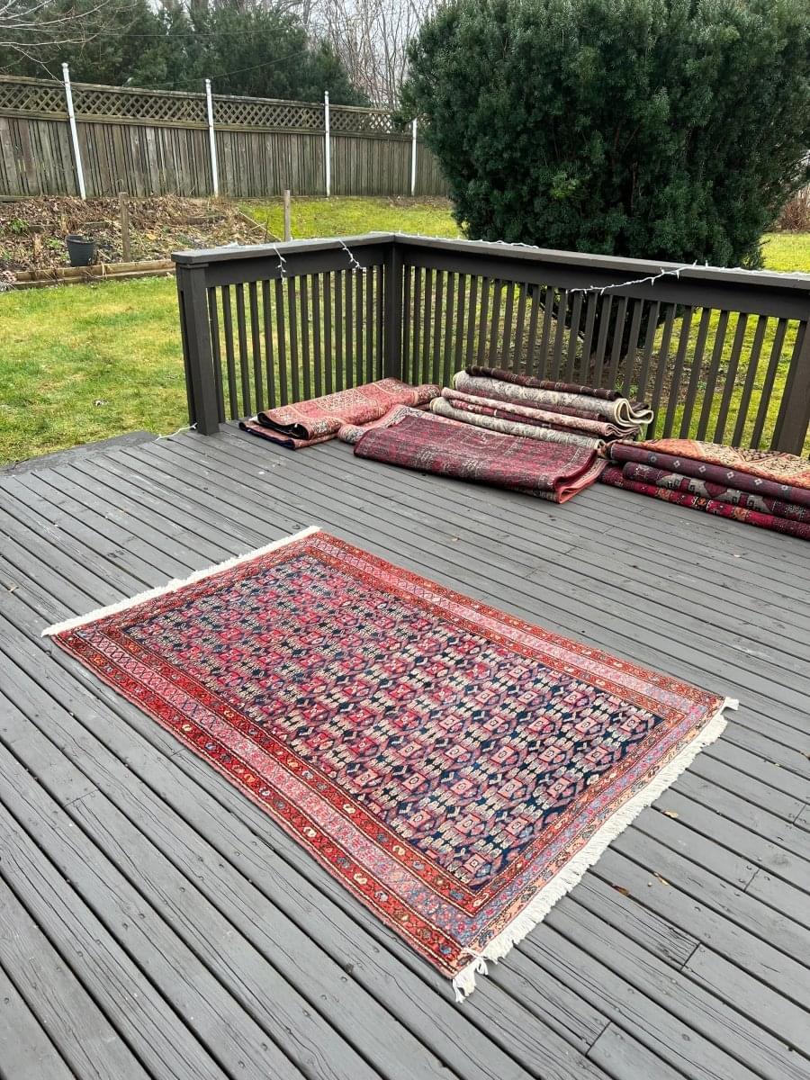 Persian Hamadan Rug | 5' 9" x 4' 1"