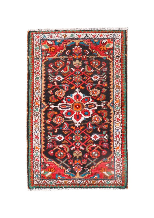 Persian Hamedan Rug | 2' 2” x 3' 5"