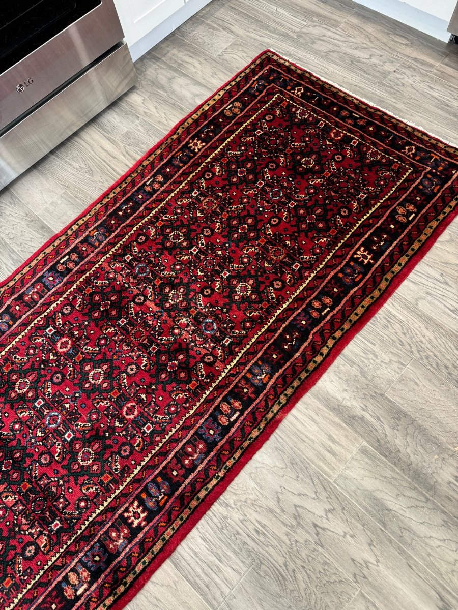 Persian Hosseinabad Runner Rug | 2' 11" x 9' 10"