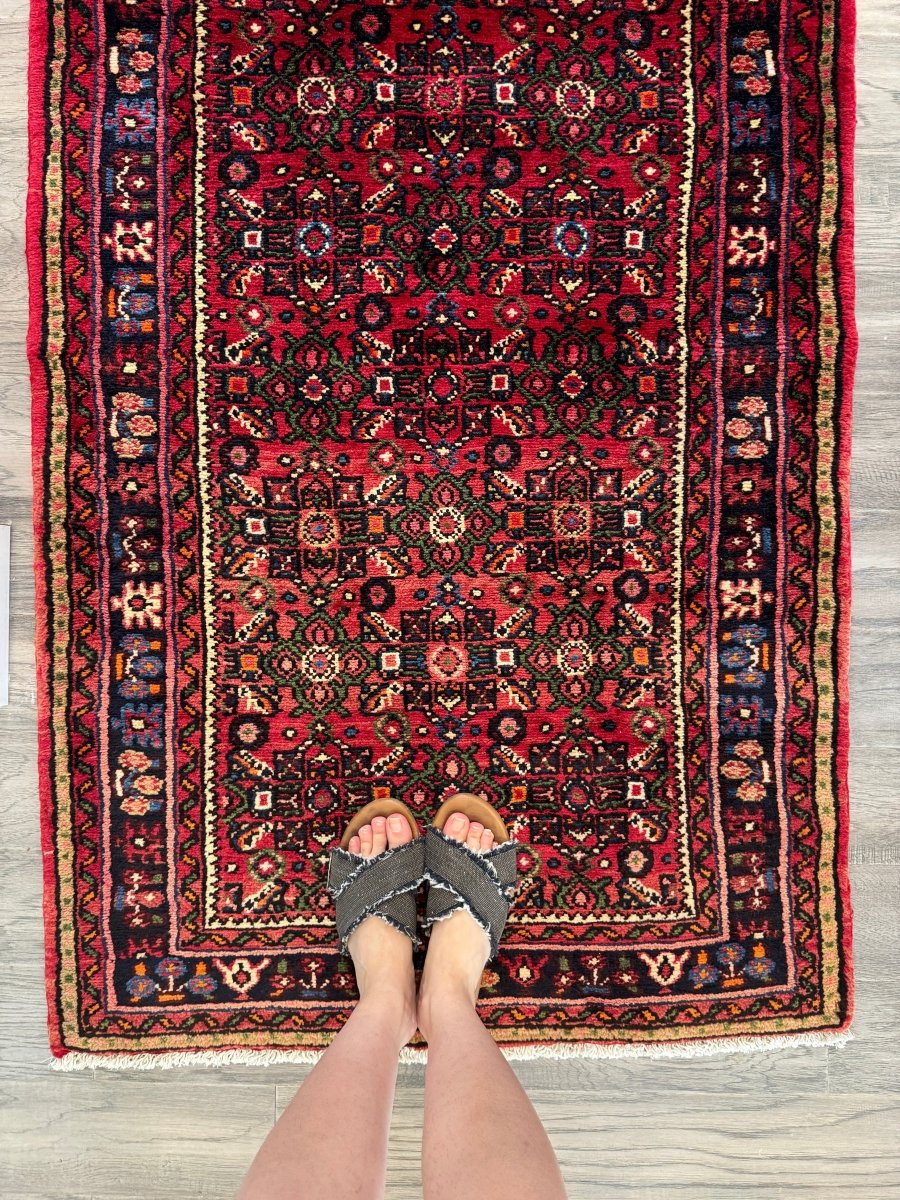 Persian Hosseinabad Runner Rug | 2' 11" x 9' 10"