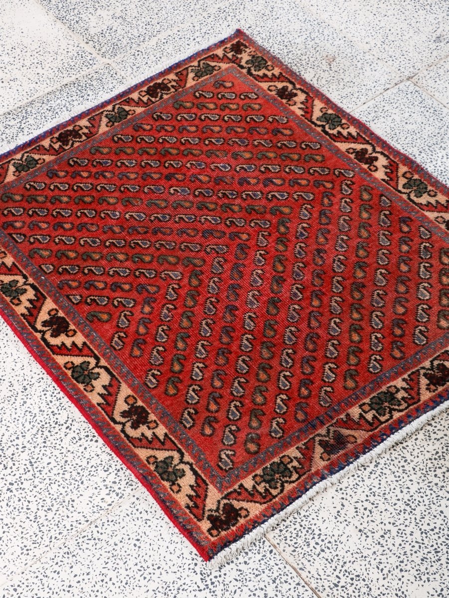 Persian Mir Arak Rug | 2' 5” x 2' 10"