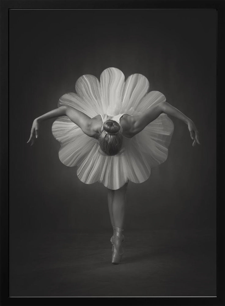 Wandbilder Blumenballett