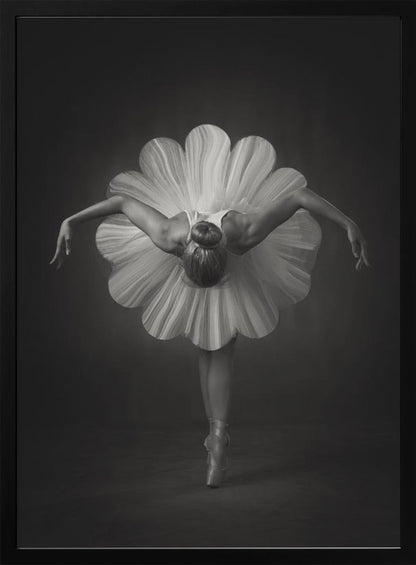 Wandbilder Blumenballett