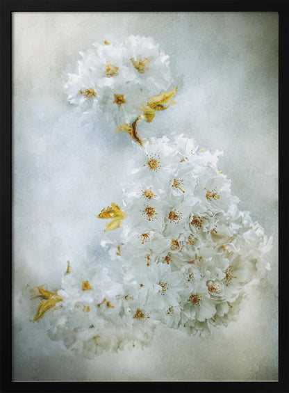 Wandbild Kirschblüten
