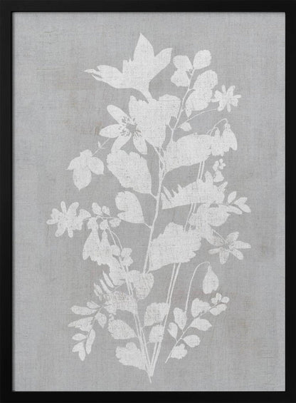 Wall art Botanical Illustration 2