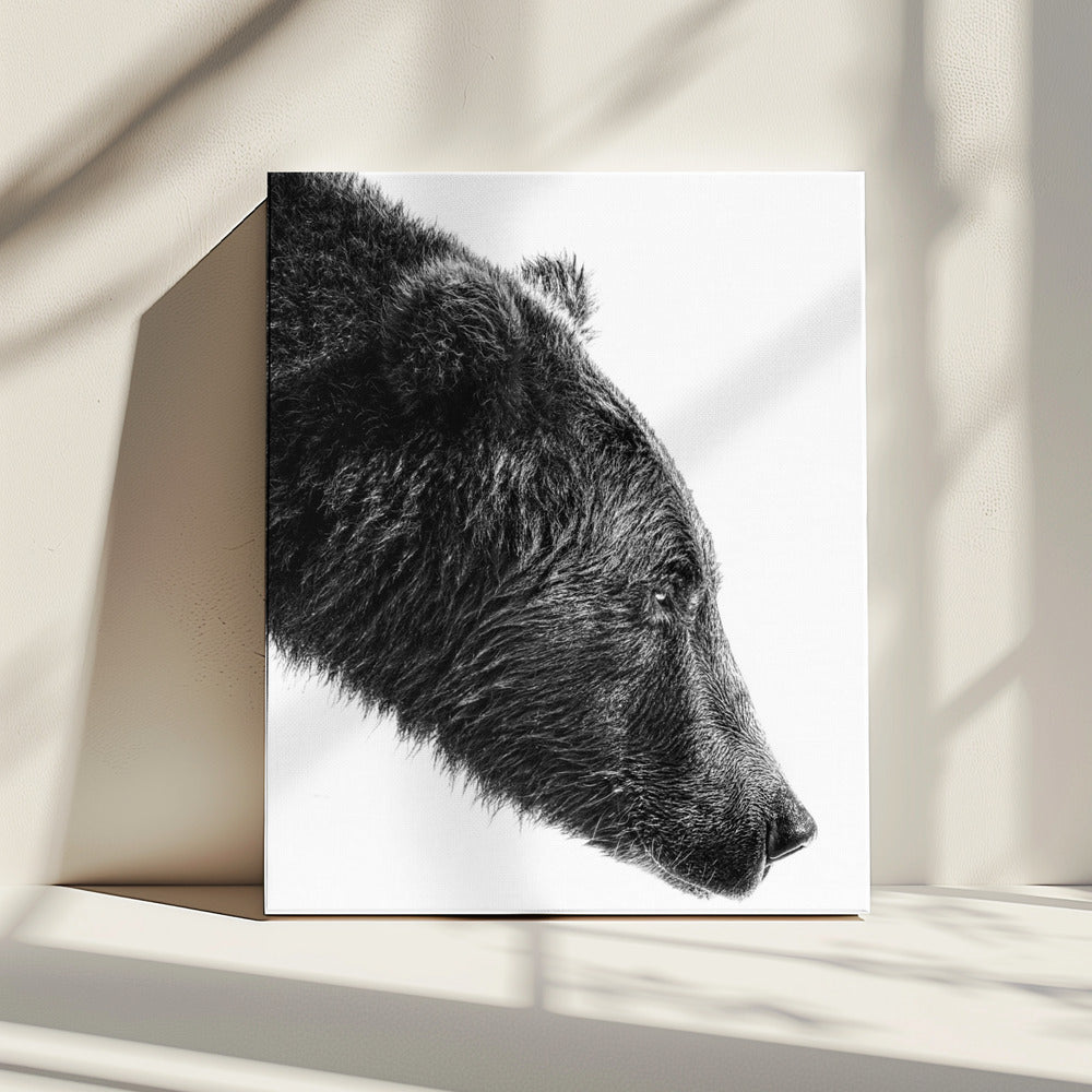 Wandbild Der Lachsfang